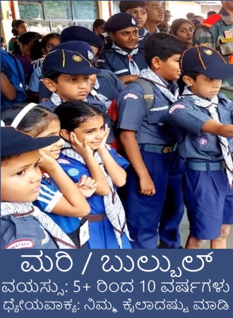 ಕಬ್ಸ್ & ಬುಲ್ ಬುಲ್
