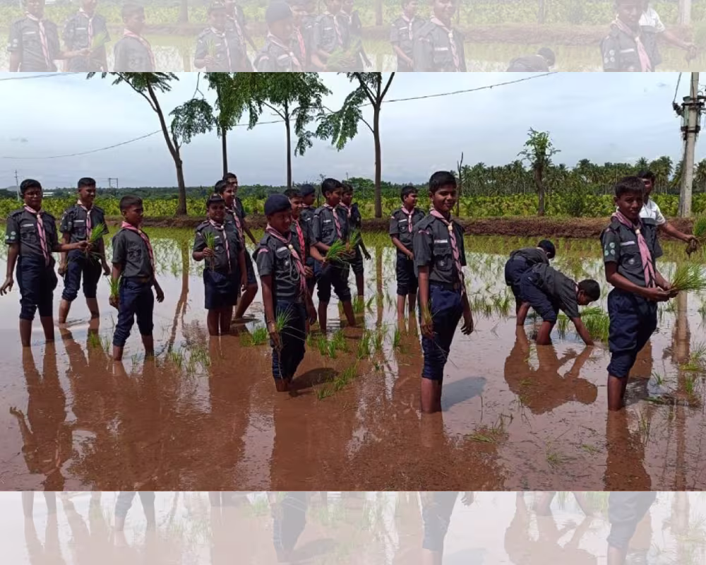 ಗ್ಯಾಲರಿ