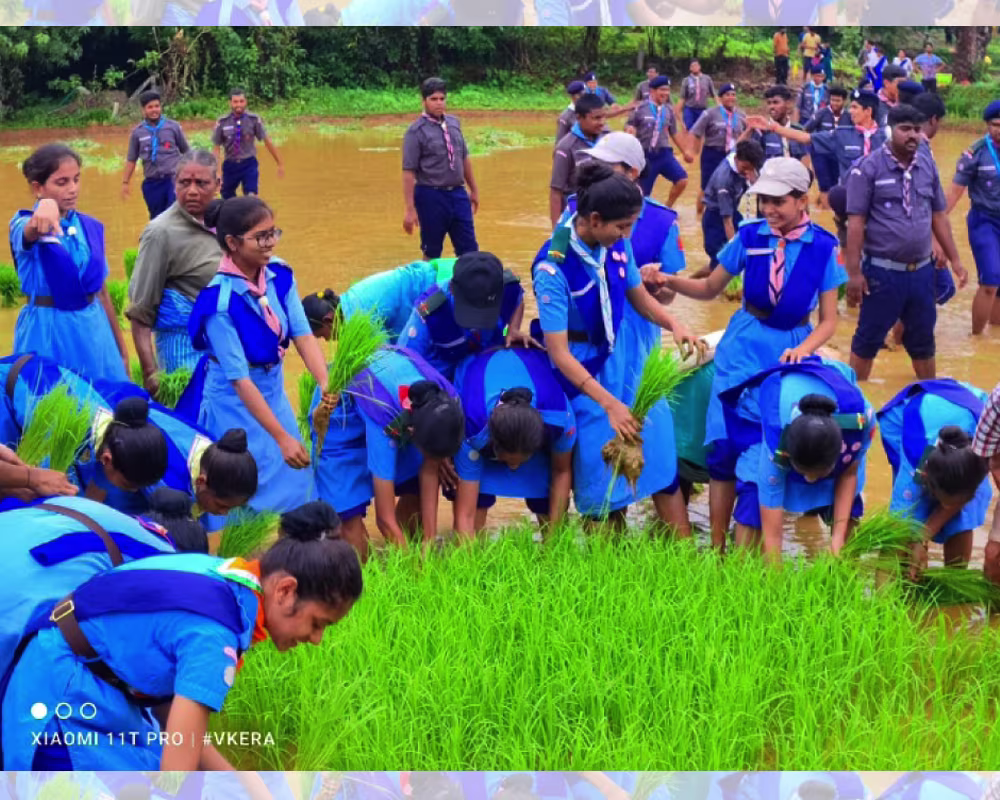 ಗ್ಯಾಲರಿ